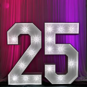 Age in Lights Light up numbers