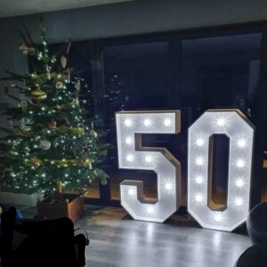 Light Up Numbers 50