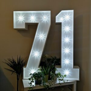 4ft Birthday Number Lights - Age in Lights