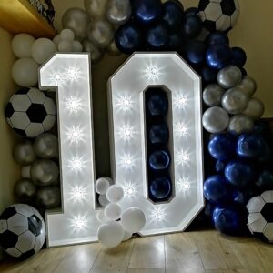 10th Birthday Millwall Football Theme