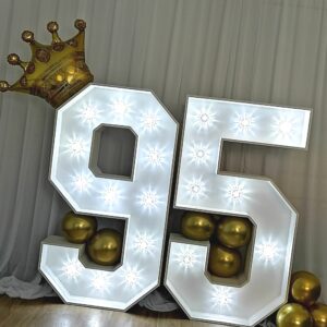 95th Birthday Light Up Numbers
