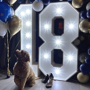 18th Birthday Light Up 18 Number Hire Age in Lights Kent Surrey Sussex