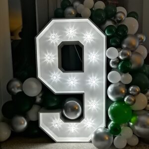 9th Birthday - Light Up 9 - Number Hire - Age in Lights - Kent Surrey Sussex